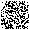 QR code with Soltex contacts