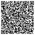QR code with Soltex contacts
