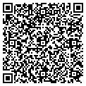 QR code with C-Check contacts