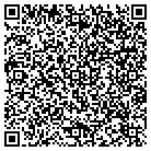 QR code with Pw Power Systems Inc contacts