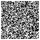 QR code with Pulse Electronics Inc contacts