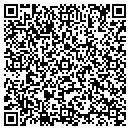 QR code with Colonial Pipeline CO contacts