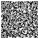 QR code with Colonial Pipeline CO contacts