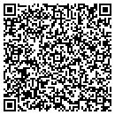 QR code with Colonial Pipeline CO contacts