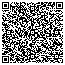 QR code with Professional Image Inc contacts