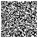 QR code with Primitive Dinkles contacts