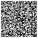 QR code with Professional Air contacts