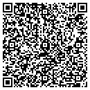 QR code with Pts Labs contacts