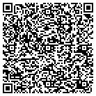 QR code with Briar Tech Service Inc contacts
