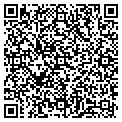 QR code with T G M Designs contacts