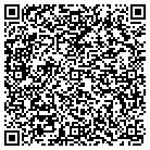 QR code with Cai Custom Alloys Inc contacts