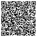 QR code with CO Inc contacts