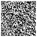 QR code with Public Storage contacts