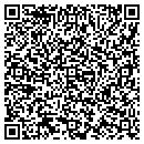QR code with Carrier South Central contacts