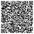 QR code with Kngkoi contacts