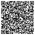 QR code with Magnus contacts