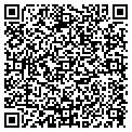 QR code with Paddy G contacts