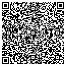 QR code with Pro Link Inc contacts