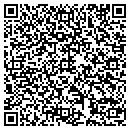 QR code with ProT LLC contacts