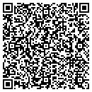 QR code with Premium Playground Inc contacts
