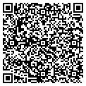 QR code with Cito contacts