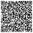 QR code with Pure Mist E Cigarette contacts