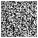 QR code with City Vapor And E Cig contacts