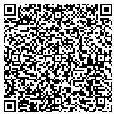 QR code with Blue Valley Telecomm contacts