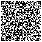 QR code with Brian's Salvage & Junk contacts