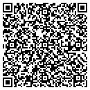 QR code with Camana Collection Inc contacts