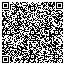 QR code with Public Works Garage contacts
