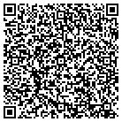 QR code with Pulp And Paper Sales International Inc contacts