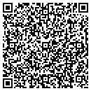 QR code with C & Ds Auctions contacts