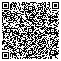QR code with Noggins contacts