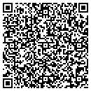 QR code with P-Train's Head Depot contacts