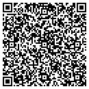 QR code with Color Connection contacts