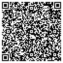 QR code with Professional Awards contacts