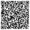 QR code with D G Meyer Inc contacts
