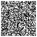 QR code with Professional Powder contacts