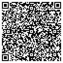 QR code with Blue Sky Carpet Care contacts