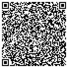 QR code with Blue Team Home Services contacts