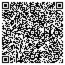 QR code with CarpetCleanSameDay contacts