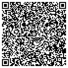 QR code with Brians Paint & Repair contacts