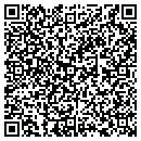 QR code with Professional Carpet Systems contacts