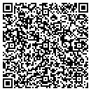 QR code with Psi Pressure Washers contacts