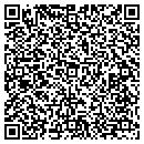 QR code with Pyramid Vending contacts