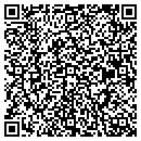 QR code with City Of Springville contacts