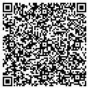 QR code with Professional Processor contacts