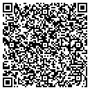 QR code with Pratico Scales contacts