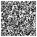 QR code with Psi Development contacts